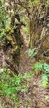 Plants: image 92 Of 208 Thumb